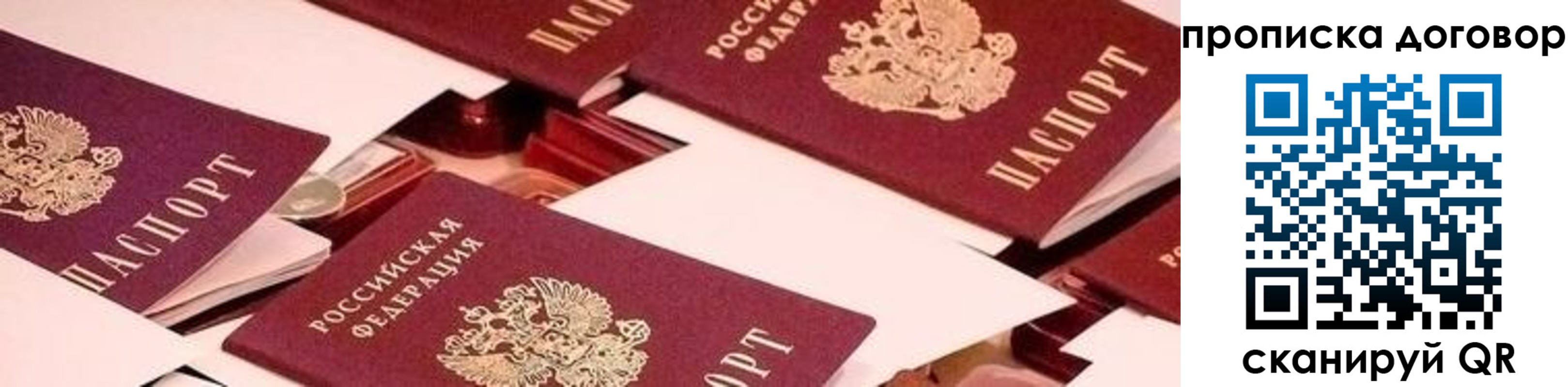 прописка 2025 в Зеленоградске